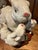 1980s Ceramic Glazed Rabbit Family Centerpiece Majolica For Sale - Image 5 of 10
