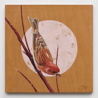 House Finch by Terra Novak | Oil on wood Painting of a finch perched on a branch For Sale