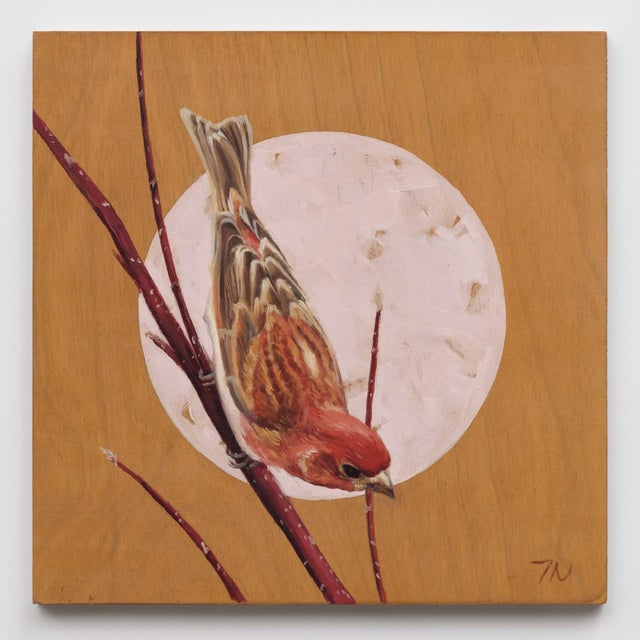 House Finch by Terra Novak | Oil on wood Painting of a finch perched on a branch For Sale