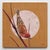 House Finch by Terra Novak | Oil on wood Painting of a finch perched on a branch For Sale