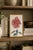 Paper Pink Mum by Hasegawa, Vintage Japanese Botanical Art Print, 12" X 18" For Sale - Image 7 of 8