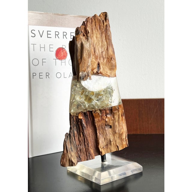 Mid-Century Modern Vintage Mid Century Wood & Lucite Organic Modern Table Sculpture For Sale - Image 3 of 9