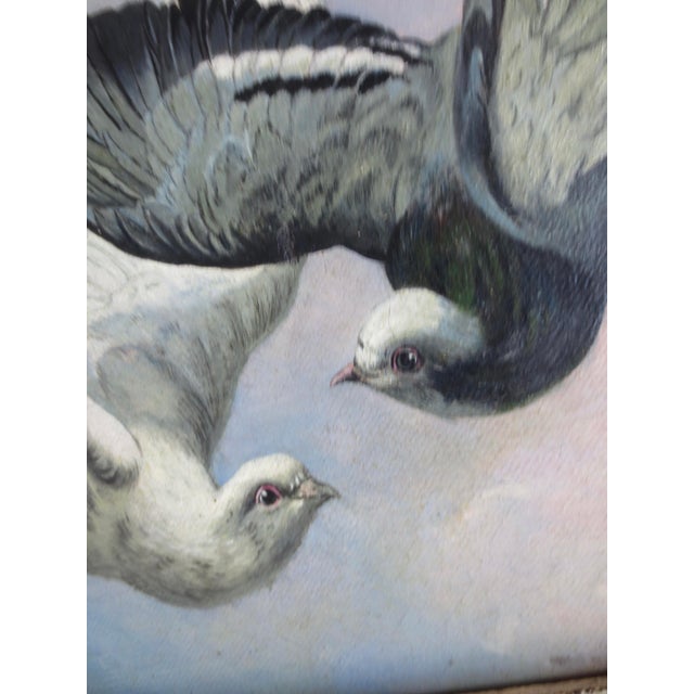 Victorian Pigeons on Flight Painting For Sale - Image 3 of 8