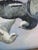 Victorian Pigeons on Flight Painting For Sale - Image 3 of 8