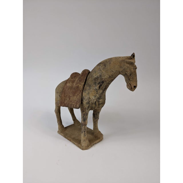 Tang Horse (Tang Dynasty 8th C) with removable saddle made with grey pottery.