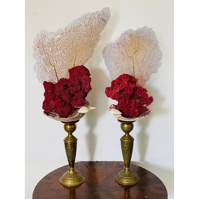 Gorgeous antique pair of marine assemblage on 19 th c embossed bass stands.