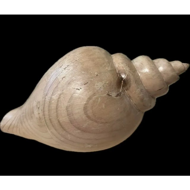 Sarreid Ltd. Sarreid Large Carved Wood Conch Shell, Made in Spain For Sale - Image 4 of 11