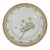 Antique Royal Copenhagen Flora Danica “Dryas Octopetala” Botanical Dinner Plate, Iceland National Flower For Sale