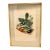 Original Mid-19th-Century John Gould Hand-Colored Toucanet Lithograph For Sale