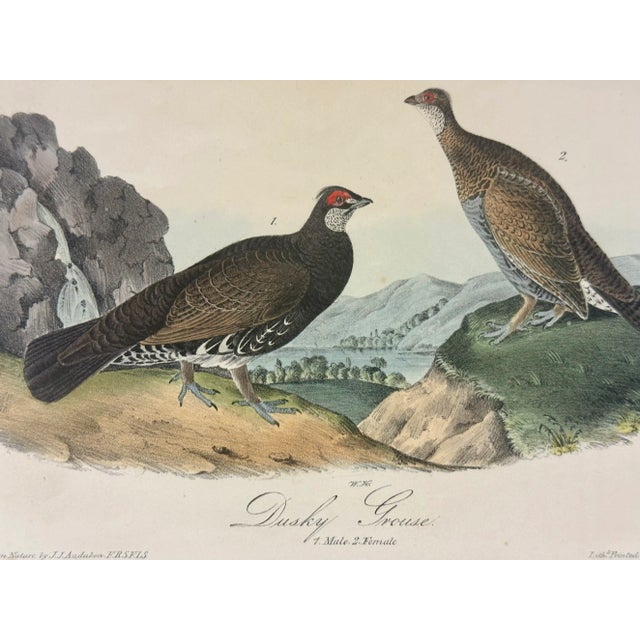 John James Audubon Dusky Grouse by Audubon, 1840 For Sale - Image 4 of 4