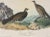 John James Audubon Dusky Grouse by Audubon, 1840 For Sale - Image 4 of 4