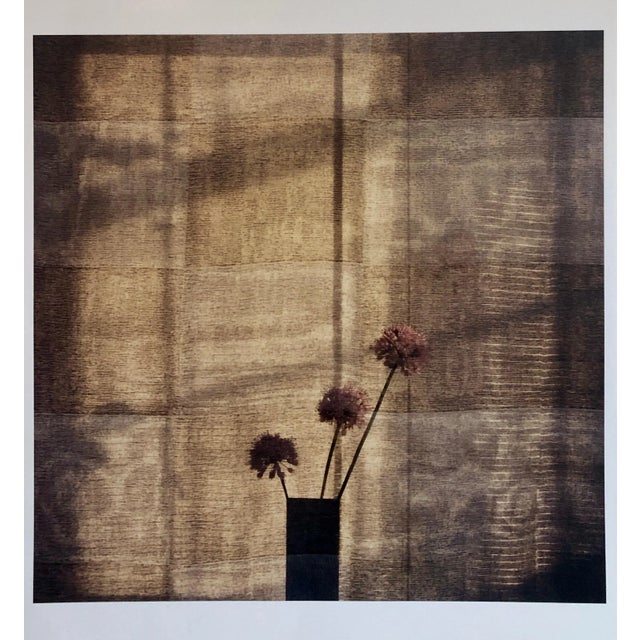Printmaking Materials Peter C. Jones 1, Checkered Alliums, Large Format Photo 24X20 Color Photograph Beach House RI, 2008 For Sale - Image 7 of 7