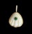 Shell Pendant with Center Emerald, Gold Bezel and Diamond Bail Shell, Emerald, Diamonds & 14k Gold This stunning, one-of-...