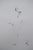 Alberto Giacometti (1901-1966) Walking Man Original lithograph poster On poster paper, 49 x 70 cm (approx. 19 x 28 inches)...
