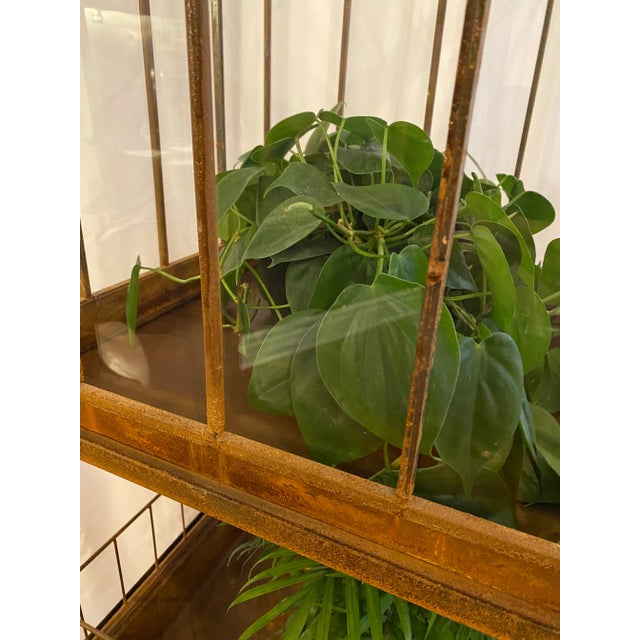 Metal Antique Victorian Wrought Iron Wardian Terrarium Plant Case Stand For Sale - Image 7 of 13