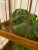 Metal Antique Victorian Wrought Iron Wardian Terrarium Plant Case Stand For Sale - Image 7 of 13