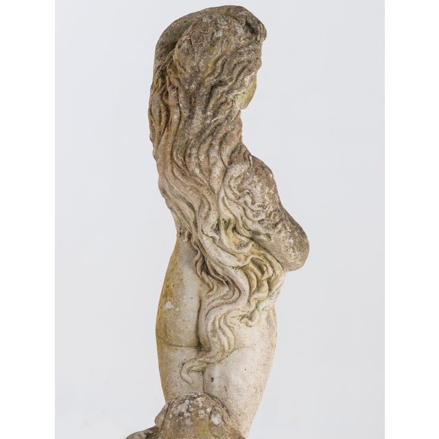 Stone Composite Stone Figure of Venus Emerging From a Shell, England Mid 20th C. For Sale - Image 7 of 11