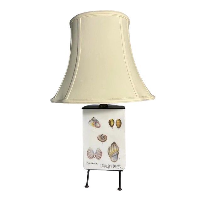 Vintage Mid-Century Modern Box Lamp With 19th Century Style Sea Shell Illustration Decoration For Sale