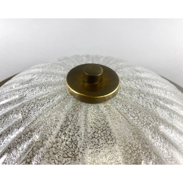 Large Vintage Ceiling Flush Mount by Fisher Leuchten, Germany For Sale - Image 4 of 10