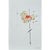 Organic Modern Original Flower Painting by Diane Grant Oil and pencil on high-quality 'Hahnemühle' Canvas Grain Fine Art...