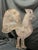 Early 20th Century Antique Rooster Weathervane on Wooden Stand For Sale - Image 5 of 6