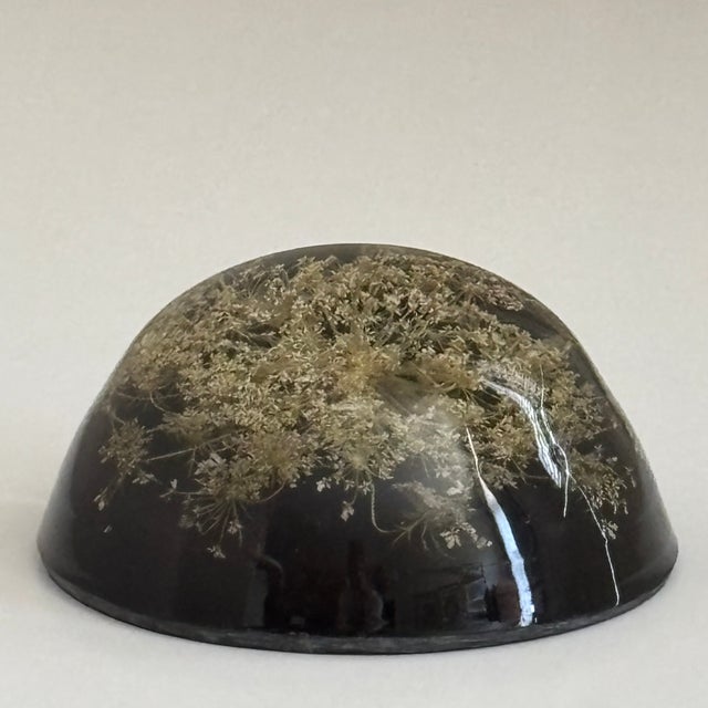 Mid 20th Century Vintage Botanical Resin Paperweight With Pressed Queen Anne's Lace For Sale - Image 5 of 17
