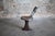 Vintage Industrial Tram Chair, 1940s For Sale - Image 9 of 18