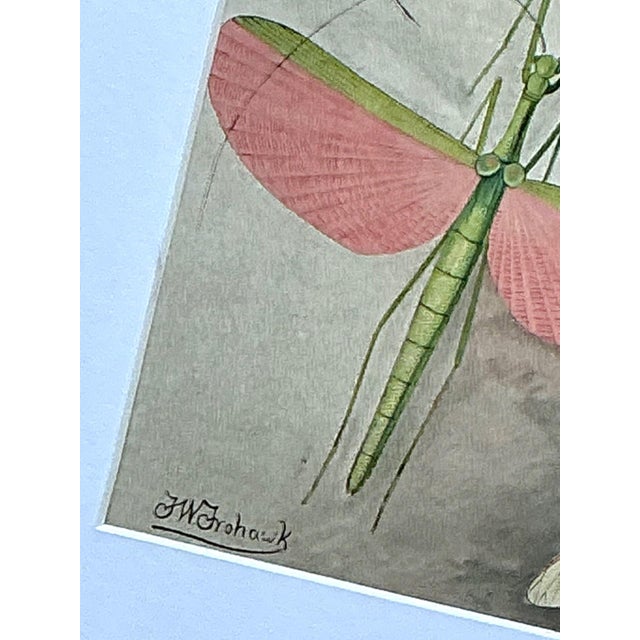 Vintage Botanical Insect Study in Gilt Frame For Sale - Image 12 of 14