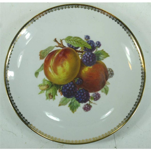 Ceramic Late 19th Century 3 Plates German Bavaria, Fruit Plaque, Transfer Ware, Still Life For Sale - Image 7 of 12