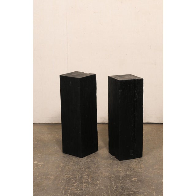 19th Century Indonesian Carbonized Ironwood Pedestals – A Pair For Sale - Image 10 of 12