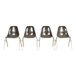 Charles & Ray Eames for Herman Miller DSS Seal Brown Stacking Shell Chairs | Set of Four For Sale