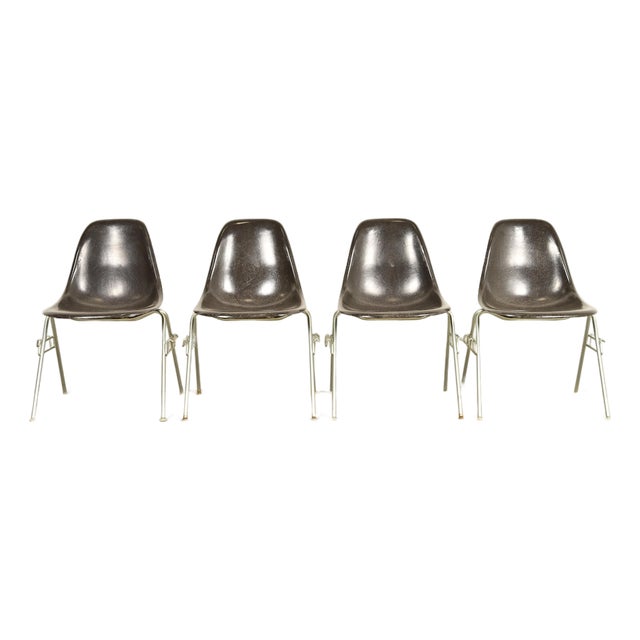 Charles & Ray Eames for Herman Miller DSS Seal Brown Stacking Shell Chairs | Set of Four For Sale