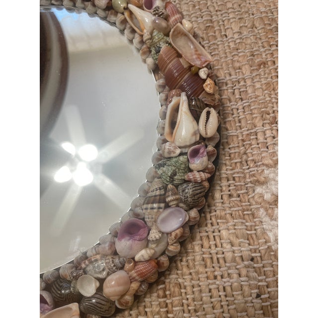 Pair of Vintage French Coquillage Seashells Round Small Mirrors For Sale - Image 4 of 10