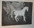 Carol Kaeser Taylor Original Signed "Shadows" Etching Print 9/20 ## Description An original, limited-edition intaglio...