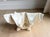Plastic Rare Vintage Winterthur Museum Giant Clam Shell Centerpiece Bowl on Coral Base For Sale - Image 7 of 10