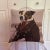 Aristocratic Hunting Dog Tapestry Pillow For Sale - Image 6 of 6