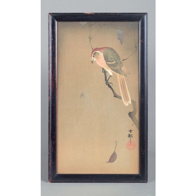 Ohara koson (1877–1945), the bird and the spider. Japan artist: ohara koson (1877–1945) title: the bird and the spider...