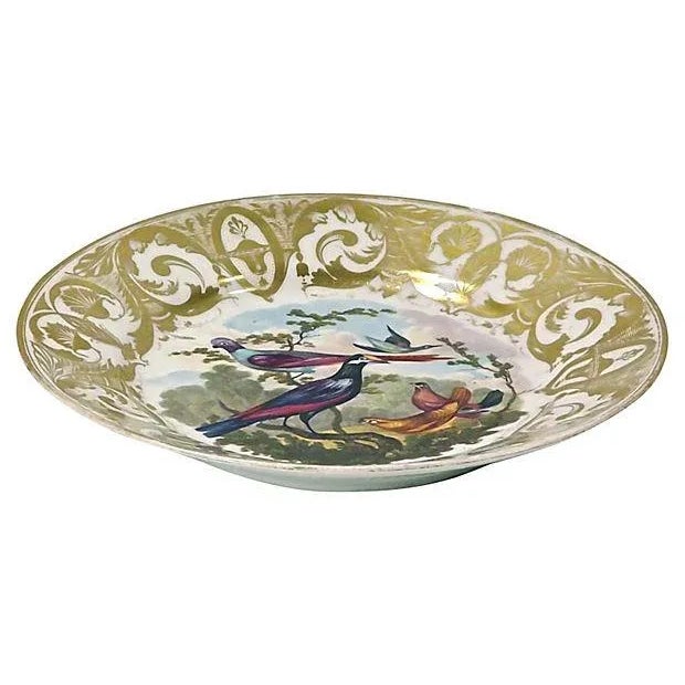 Antique; 19th century, English, Royal Derby, porcelain, hand-painted and gilded plate, circa 1820, with birds on a tree in...