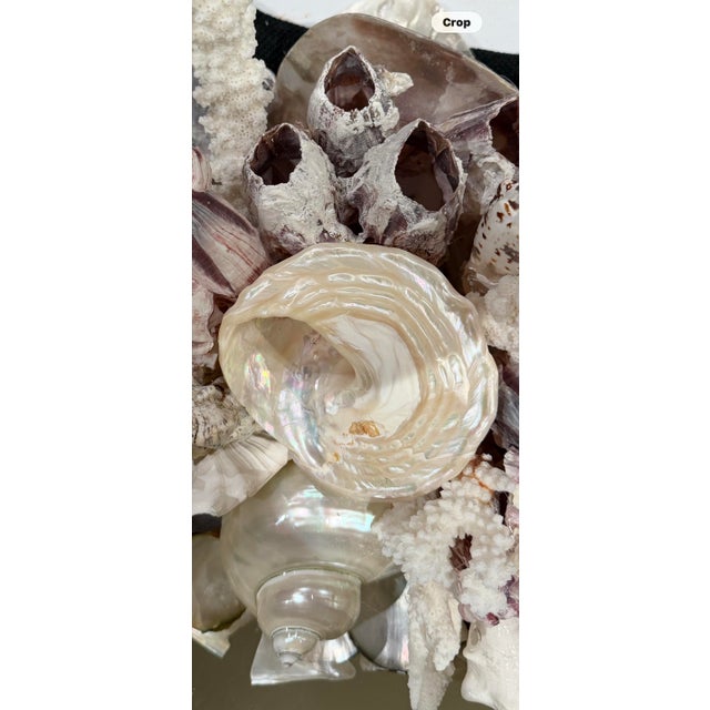 Annalise Shell Decorated Mirror For Sale In Houston - Image 6 of 9