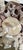 Annalise Shell Decorated Mirror For Sale In Houston - Image 6 of 9