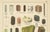 Dr. Gustav Adolph Kenngott, Mineralogy Quartz, Agate & Tourmaline, 1888, Chromolithographs, Set of 3 For Sale - Image 11 of 13