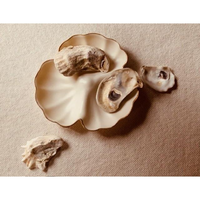 Pair of Late 19th Century Attributed to Belleek Porcelain Oyster Plates With Gilt Lily-Form Edge For Sale - Image 10 of 18