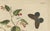 Meerburgh, Wildflower with Butterflies, Engraving, 1775 For Sale - Image 3 of 10