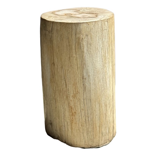 Oval White Petrified Wood Side Table, 1980s For Sale