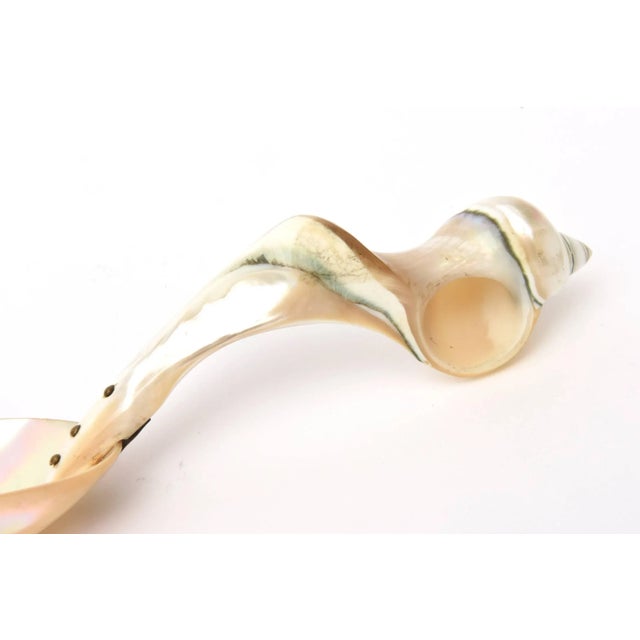 Shell Vintage Organic Mother-of-Pearl Sculptural Serving Spoon For Sale - Image 7 of 11
