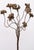 Italian Magic Bronze Tree Floor Lamp, 1978 For Sale - Image 9 of 16
