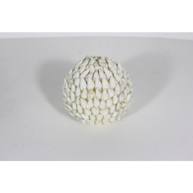 Vintage sphere encrusted with beach shells. This is a decorator’s dream and could be Used in so many ways - snowball for...