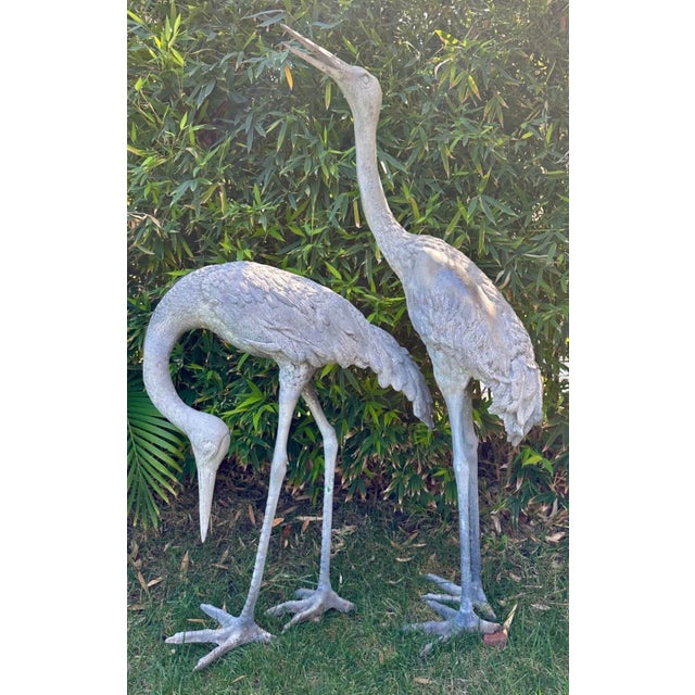 1920s Monumental Pair of Life-Size Bronze Crane Garden Sculptures With Verdigris... For Sale - Image 14 of 18