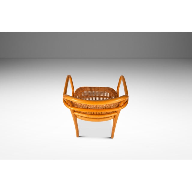 Mid-Century Modern Scandinavian Modern Bentwood Model 811 "Prague" Dining Armchair by Josef Frank & Josef Hoffmann for Stendig, Poland, C. 1960s For Sale - Image 3 of 18