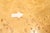 Yellow Thomasville Burl Wood Square Dining Table With 2 Leaves For Sale - Image 8 of 18